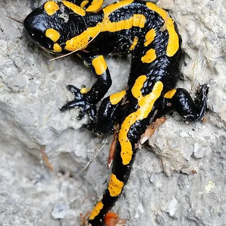 A Moravica * Liptovský Ján